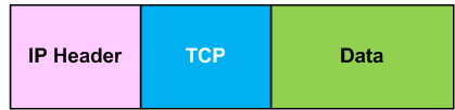 Normal TCP/IP Packet Composition