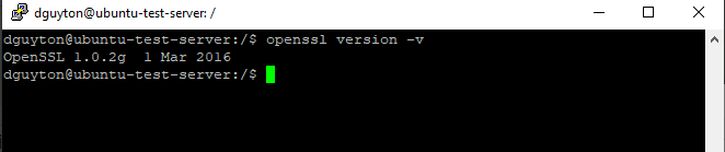 Version check in terminal reports incorrect version 1.0.2g